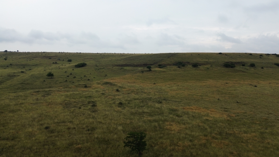 Commercial Property for Sale in Villiers Free State